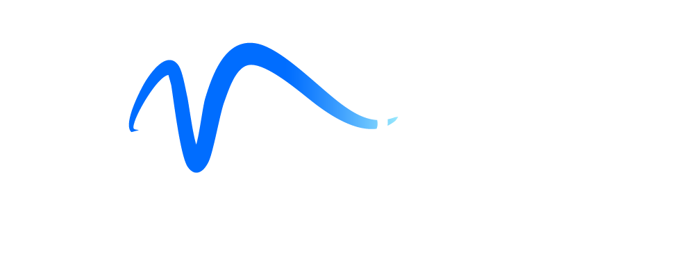 VizBriz